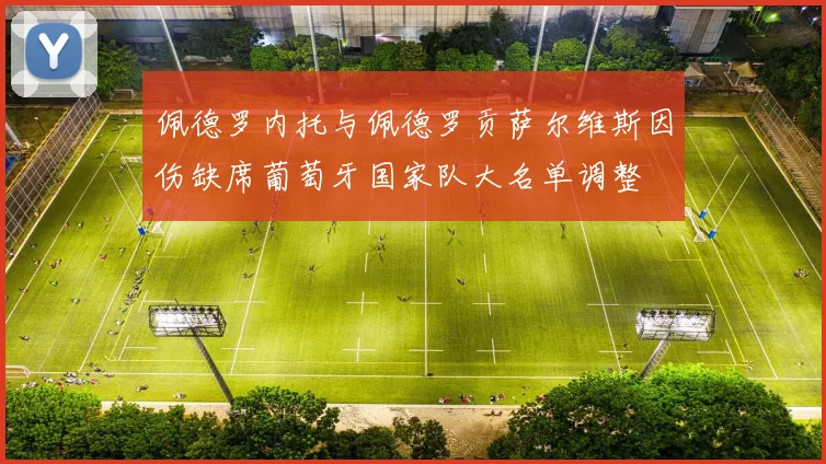 佩德罗内托与佩德罗贡萨尔维斯因伤缺席葡萄牙国家队大名单调整