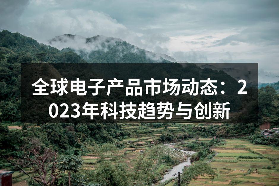 全球电子产品市场动态分析